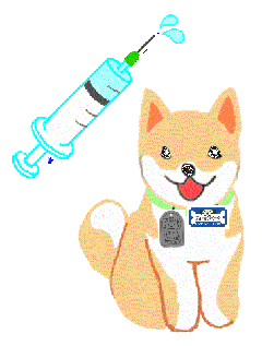 犬と注射のイラスト