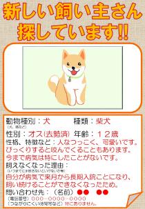 チラシ例（犬）