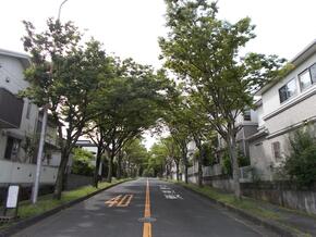 令和7年度の更新工事前の写真