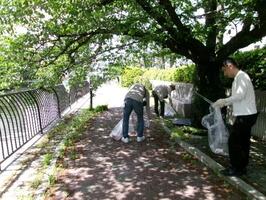 美化活動