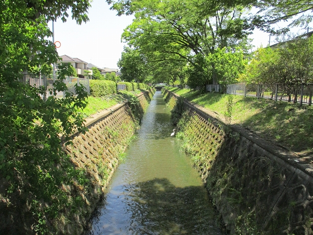 準用河川光竜寺川の写真その2