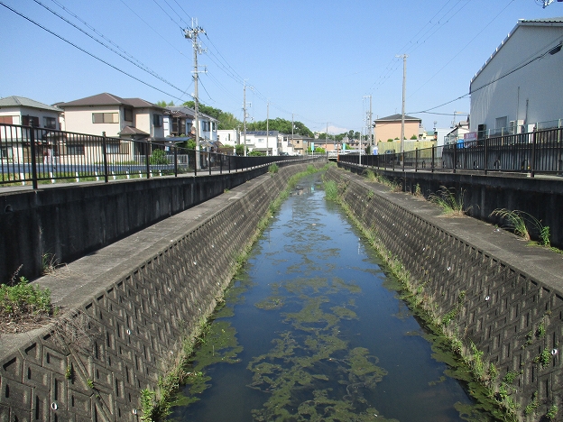 普通河川前田川の写真その1