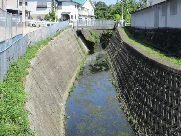 普通河川前田川の写真その2