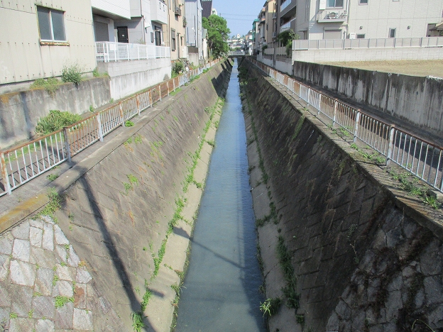 準用河川百舌鳥川の写真その1