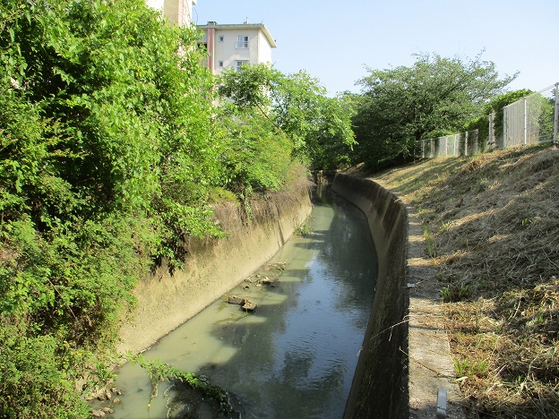 準用河川百舌鳥川の写真その2