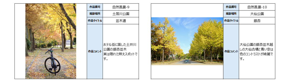 自然風景をテーマとした作品です