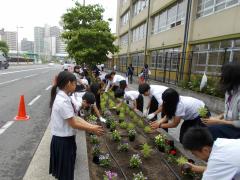 花植え活動