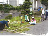 道路清掃