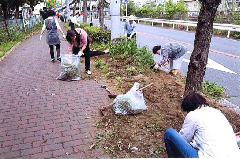 清掃除草活動の様子