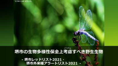 「堺市の生物多様性保全上考慮すべき野生生物 -堺市レッドリスト2021・堺市外来種アラートリスト2021-」紹介動画のサムネイル