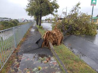 台風21号の被害