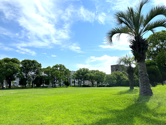 光竜寺公園