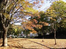 赤坂公園3