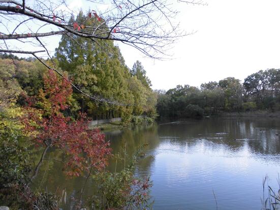 晴美公園