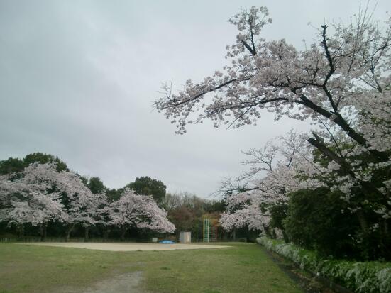 宮山公園