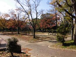 桃山公園 SUB3