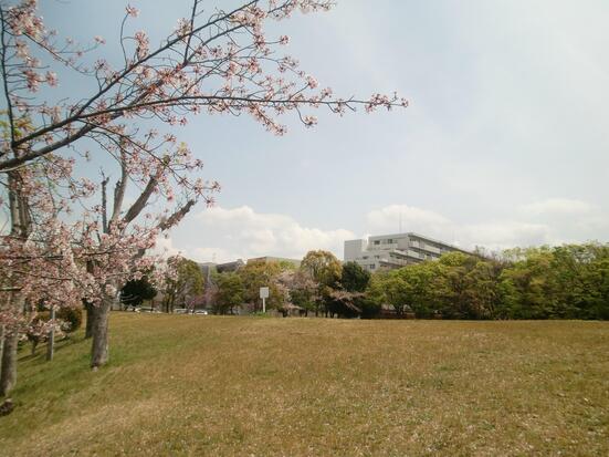 桃山公園