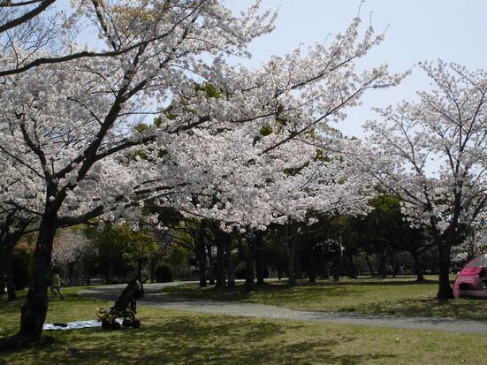 庭代公園