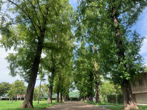 三宝公園 さんぽうこうえん 堺市