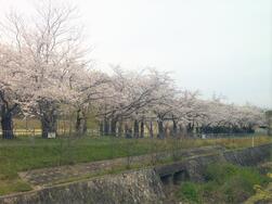 鴨谷公園の写真1