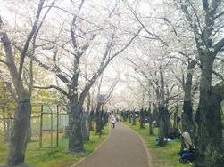 鴨谷公園の写真2