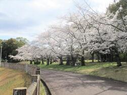 御池公園の写真1
