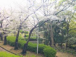 西原公園の写真1