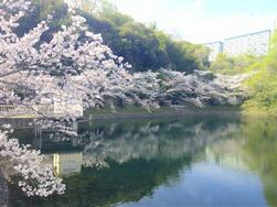大蓮公園の写真1