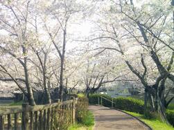 大蓮公園の写真2