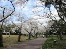 新檜尾公園の写真1