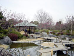 日本庭園の写真2