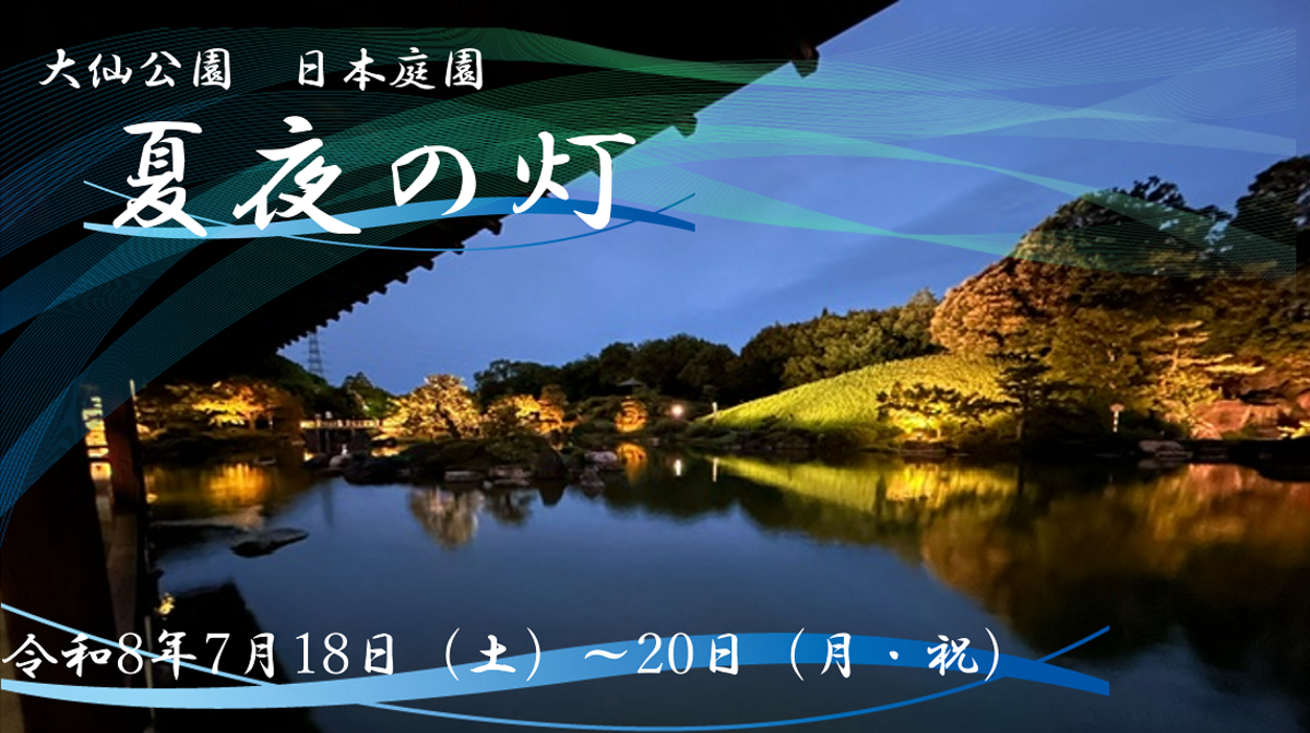 日本庭園夏夜の灯