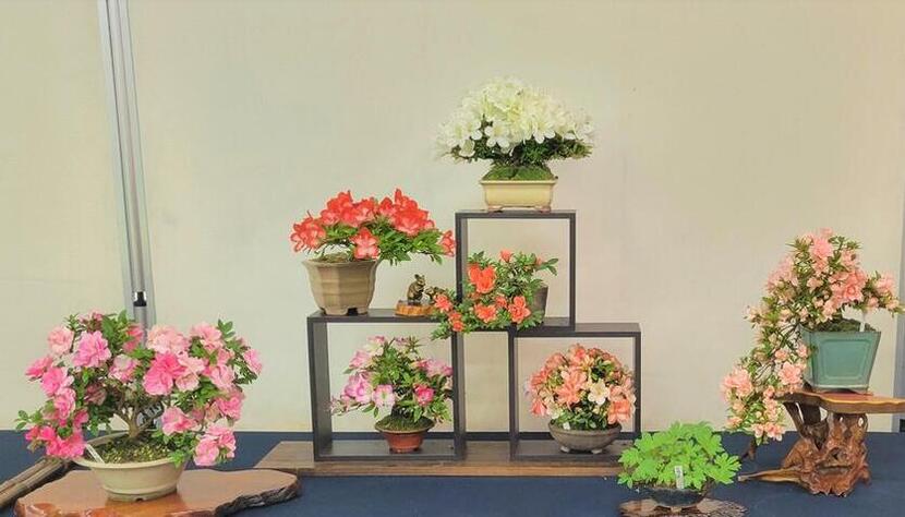 堺市長賞を受賞した作品