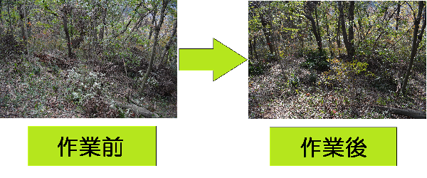 作業前と作業後の様子の写真