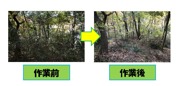 作業前と作業後の様子の写真