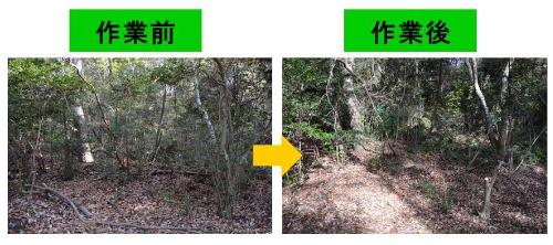 作業前と作業後の様子の写真