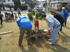 第16回育樹祭の様子