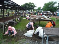 作業後圃場を清掃している写真