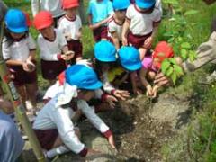 子どもたちが植樹をしている様子