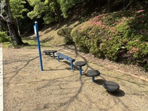 健康遊具（ステップロード）の写真