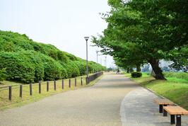 浅香山緑道