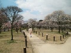 荒山公園