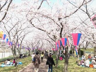 鴨谷公園写真