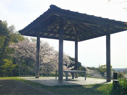 荒山公園画像