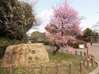 荒山公園画像