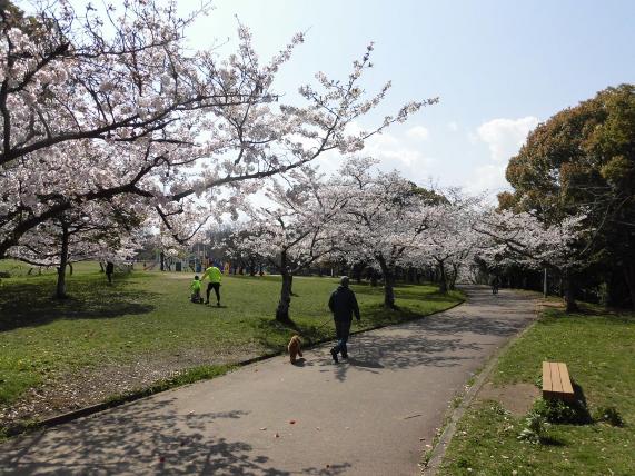 荒山公園画像