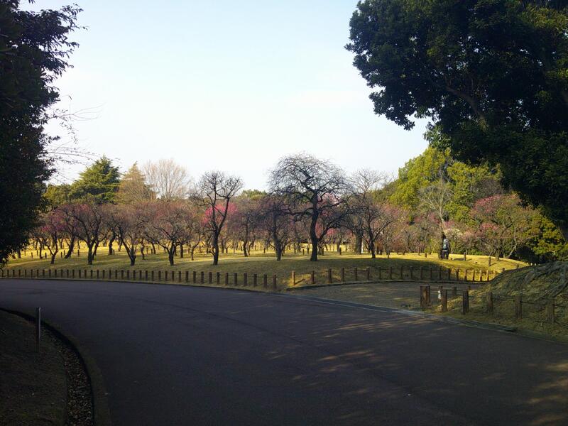 ばいりんひがしがわ