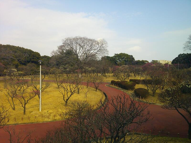 ばいりんちゅうおう