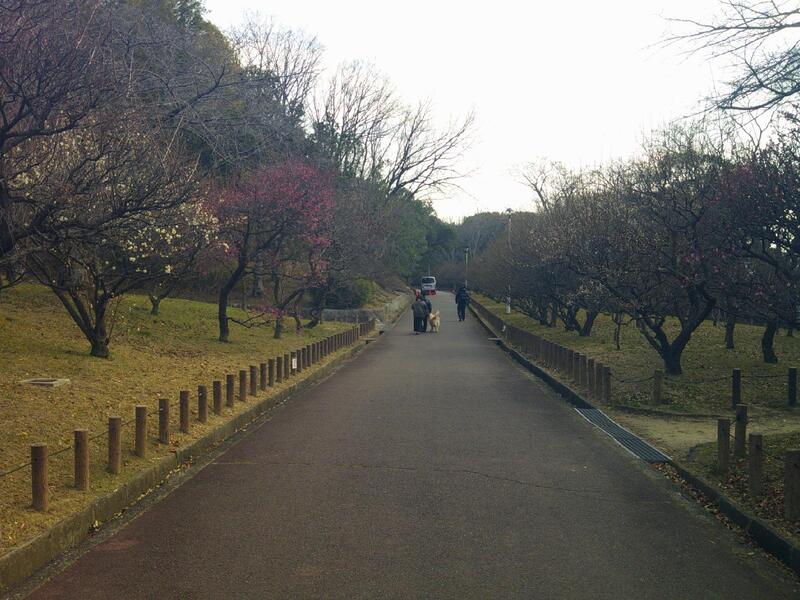 ばいりんにしがわ