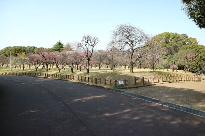 ばいりんひがしがわ